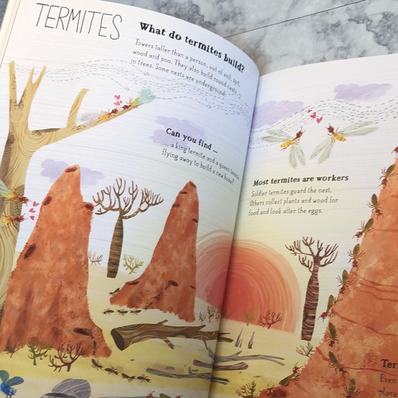 The Big Book of Bugs & Sticker Book - Picture 5 of 9